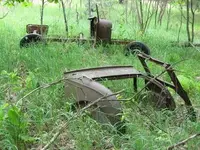 IMG_0118_1.webp
