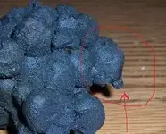 Coal1.webp