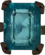 Ring_01.webp