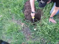 DSCF3107.webp