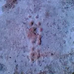 Image01.webp