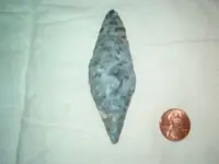 Fossils 003.webp