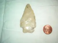 Fossils 004.webp