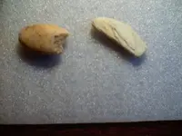 unusual stones 001.webp