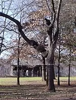 P2250409.webp