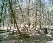 !008.webp