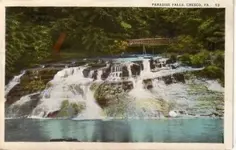####bf2e_1.webp