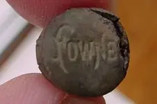 fowne4.webp