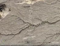 Desert tracks.webp