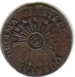 back vt copper.webp