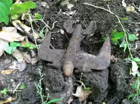PLANE DIRT.webp