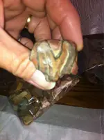 ImageUploadedByTapatalk1378644581.896862.webp
