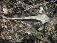 100_7108.webp