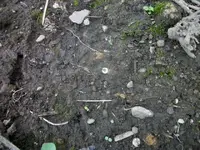 100_7111.webp