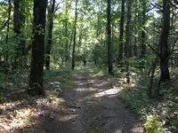 image-631078599.webp