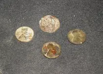 09 18 2013     27 36 45 wheats.webp