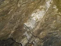 2013 013.webp