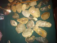 photo copy 3.webp