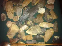 photo copy 4.webp