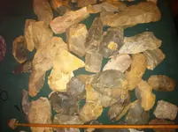 photo copy 5.webp