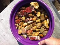 Agates plus 9 13 batch 1.webp Agates plus 9 13 batch 1.webp