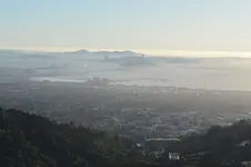 sf gp hazey sm vers.webp