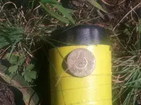 2013-08-29 silver button.webp