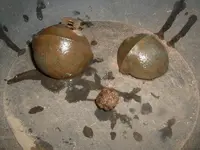 DSCF0003.webp
