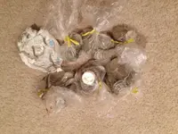 image-2293653939.webp