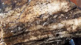 Coke bottle and rocks 001.webp