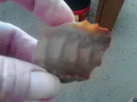 image-3997973282.webp