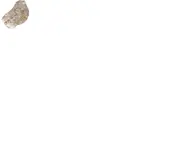K.G.C. Treasure Symbol.webp