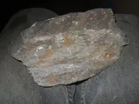 DSCN0165.webp