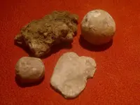 2886_800_600.webp