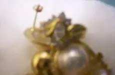 ring1.webp