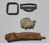 DSCN0677.webp