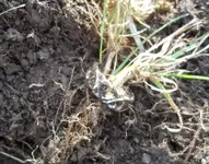 100_1017.webp