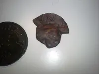 20130916_235321.webp