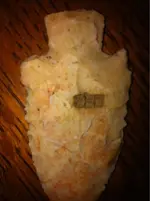 image-3641979087.webp