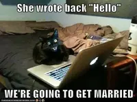 wrAOBynS7U6ka4gl9Ld7ew2.webp
