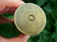 old shell 2.webp