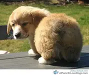 tumblr_l9vshnxeED1qa8gt7o1_500.webp