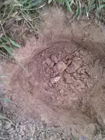 IMG_20130919_102617.webp
