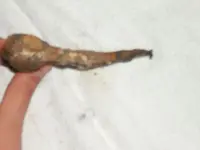 1700's weapons 010.webp