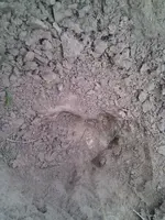 IMG_20130919_103209.webp