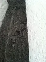 image-3893372532.webp
