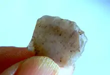 DSCN1000.webp