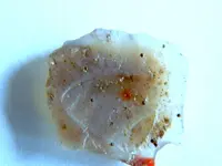 DSCN1002.webp