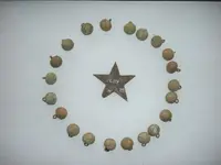 Star2.webp