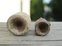 bullet 003.webp